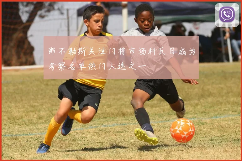那不勒斯关注门将市场科瓦日成为考察名单热门人选之一